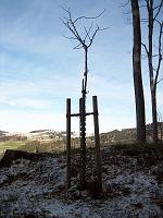  27. Dezember 2009